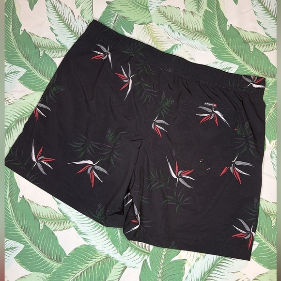 Quiksilver Everyday Mix 17” Volley Swim Trunks with Bird of Paradise Print - Picture 5 of 8